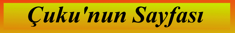 cuku.gif (46237 bytes)