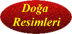 doga.gif (9838 bytes)
