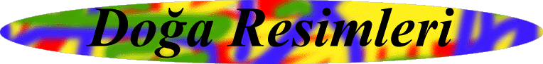 dogabas.gif (32365 bytes)